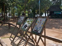 Thailand2009-Elephant_School-008